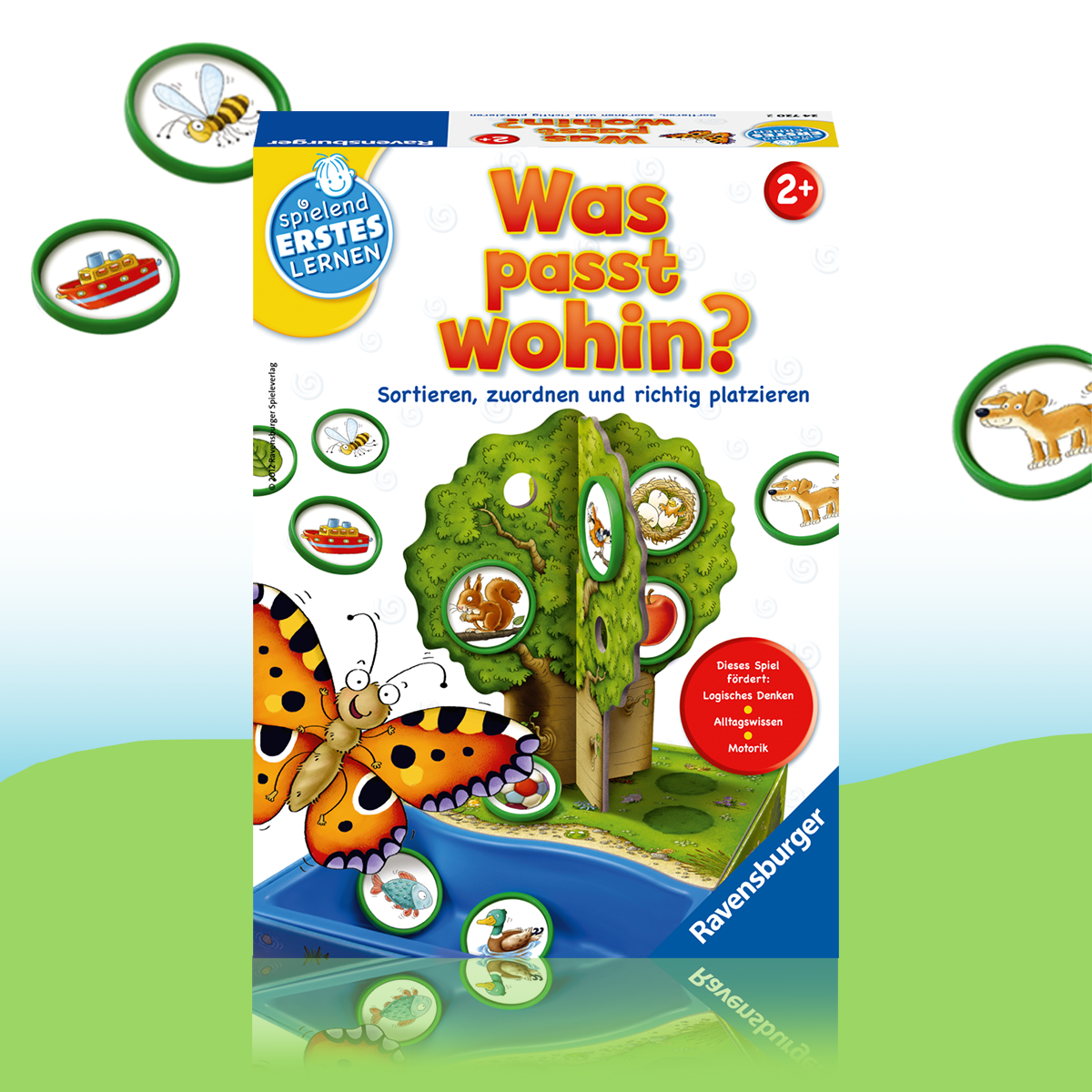 Ravensburger