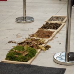 Wellness-tage 5